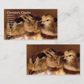 Carte De Visite Les poules de 2 jours, les poules de Christie (Devant / Derrière)