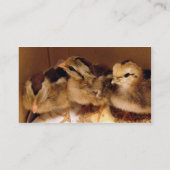 Carte De Visite Les poules de 2 jours, les poules de Christie (Dos)