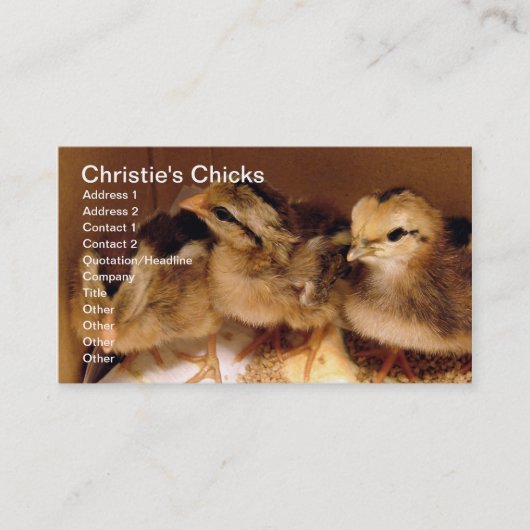 Carte De Visite Les poules de 2 jours, les poules de Christie (Devant)