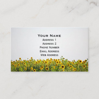 Carte De Visite Les tournesols dans un champ