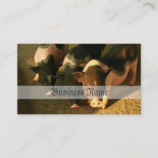 Carte De Visite Les trois petits porcs (Devant)