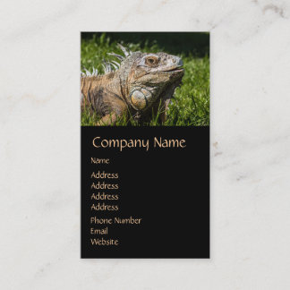 Carte De Visite Lézard d'iguane