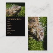 Carte De Visite Lézard d'iguane (Devant / Derrière)