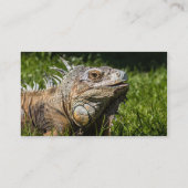 Carte De Visite Lézard d'iguane (Dos)