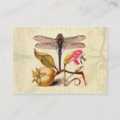 Carte De Visite Libellule Botanique Nature Faune Hoefnagel Art (Dos)