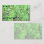 Carte De Visite Lierre de poison (Devant / Derrière)