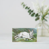 Carte De Visite Lièvres alpins (Debout devant)