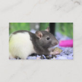 Carte De Visite Lil rat (Dos)