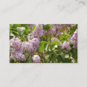 Carte De Visite Lilac Bush Belles fleurs de printemps violettes (Dos)
