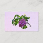 Carte De Visite Lilas en fleurs (Dos)