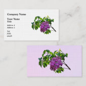 Carte De Visite Lilas en fleurs (Devant / Derrière)