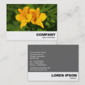 Carte De Visite Lilies péruviennes (Devant / Derrière)