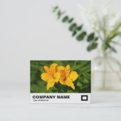 Carte De Visite Lilies péruviennes (Debout devant)