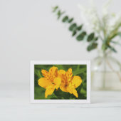 Carte De Visite Lilies péruviennes (frontière) (Debout devant)