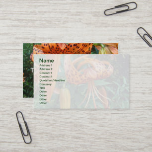 Carte De Visite Lily Fleur sauvage, Casquette de Turk