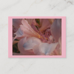 Carte De Visite Lily rose
