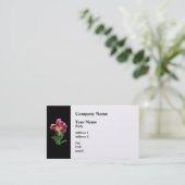 Carte De Visite Lily Stargazer penchée (Debout devant)