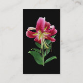 Carte De Visite Lily Stargazer penchée (Dos)