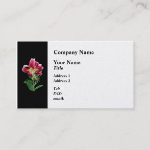 Carte De Visite Lily Stargazer penchée