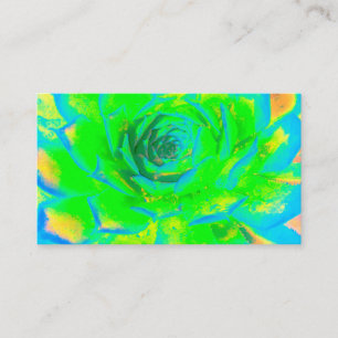 Carte De Visite Lime Green Chartreuse Succulent Sedum Rosette