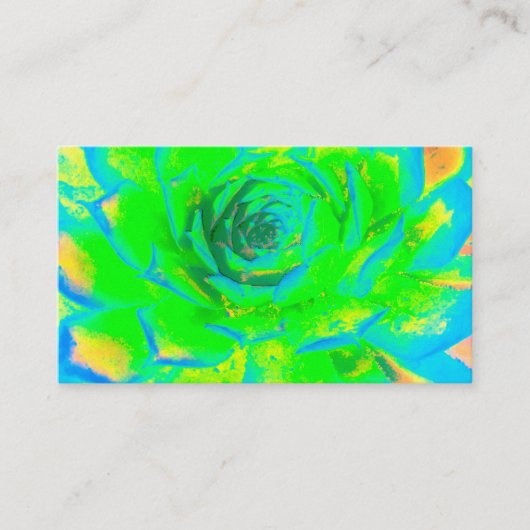 Carte De Visite Lime Green Chartreuse Succulent Sedum Rosette (Devant)