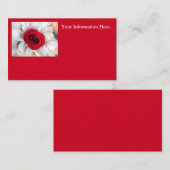 Carte De Visite Lindegren (Devant / Derrière)