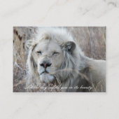 Carte De Visite Lion blanc d'Afrique du Sud reposant (Dos)