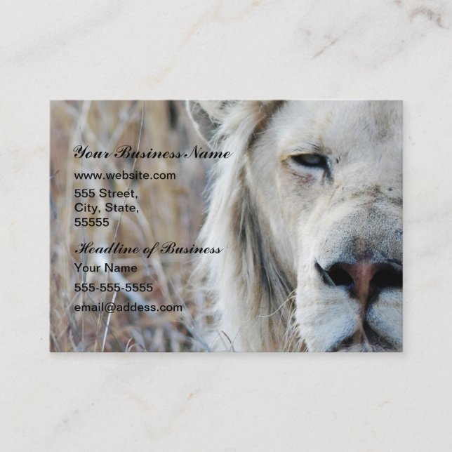 Carte De Visite Lion blanc d'Afrique du Sud reposant (Devant)