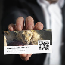 Lion Stare | Photographie de la faune |