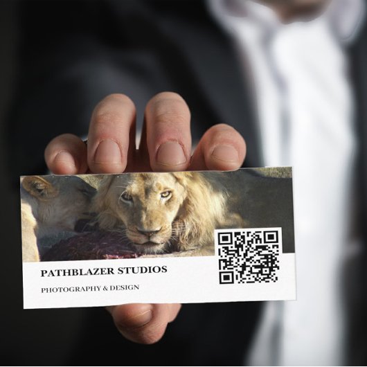 Carte De Visite Lion Stare | Photographie de la faune |