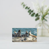 Carte De Visite Lions de la mer de San Diego (Debout devant)