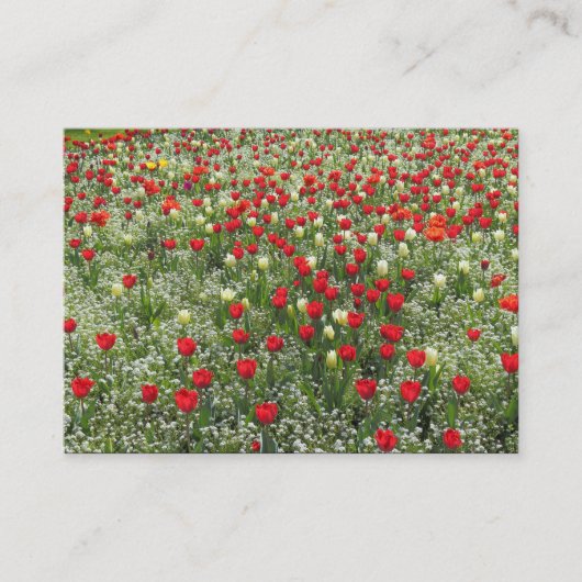 Carte De Visite Lit de tulipes (Devant)