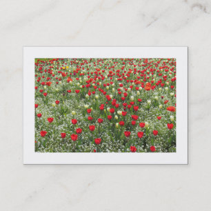 Carte De Visite Lit de tulipes (Bordé)