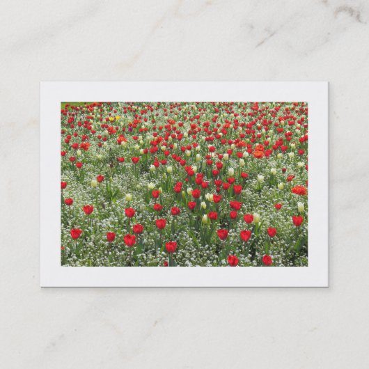 Carte De Visite Lit de tulipes (Bordé) (Devant)