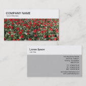 Carte de visite - Lit de Tulipes Panneau Supérieur (Devant / Derrière)