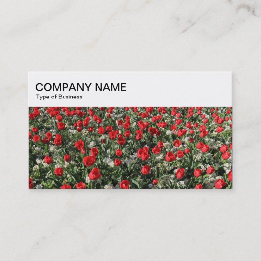 Carte de visite - Lit de Tulipes Panneau Supérieur (Devant)