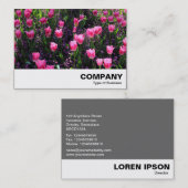 Carte De Visite Lit de tulipes roses (Devant / Derrière)