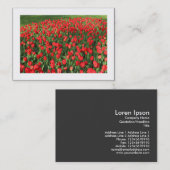 Carte De Visite Lit de Tulipes Rouges 02 (bordé) (Devant / Derrière)