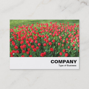 Carte De Visite Lit des Tulipes rouges 01