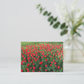 Carte De Visite Lit des Tulipes rouges 01 (Debout devant)