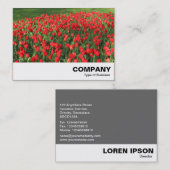 Carte De Visite Lit des Tulipes rouges 02 (Devant / Derrière)