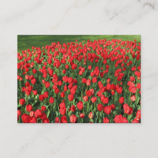 Carte De Visite Lit des Tulipes rouges 02 (Devant)