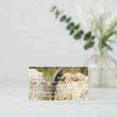 Carte De Visite Lizard d'épinette à dos jaune à Joshua Tree (Debout devant)