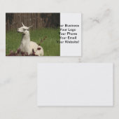 Carte De Visite Llama blanche (Devant / Derrière)