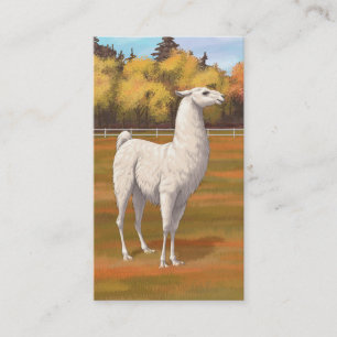 Carte De Visite Llama blanche dans les pâturages agricoles d'autom