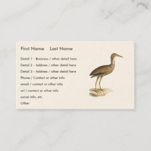 Carte De Visite L'oiseau de Bittern américain (Botaurus lentiginos