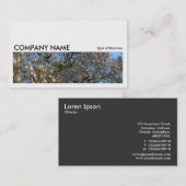 Carte De Visite Long Picture 0171 - Magnolia Trees in Blossom (Devant / Derrière)