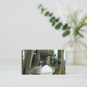 Carte De Visite Loon sauvage (Debout devant)
