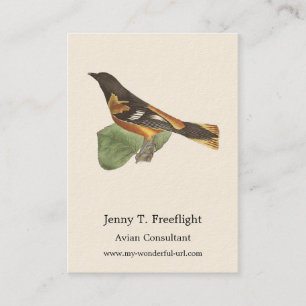 Carte De Visite L'Oriole d'Or ou de Baltimore (Icterus galbula)