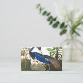 Carte De Visite Louisiana Heron par John James Audubon (Debout devant)